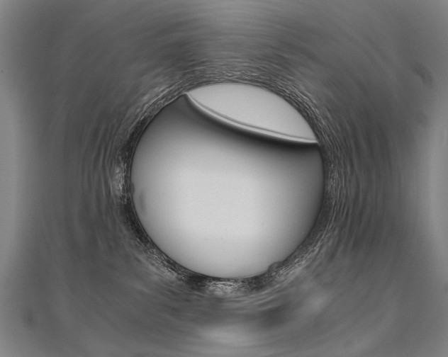 X0000110690139200906121103