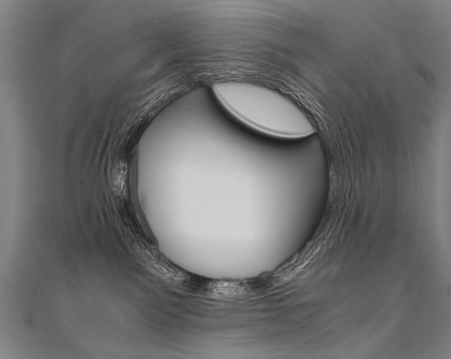 X0000110690141200906121103