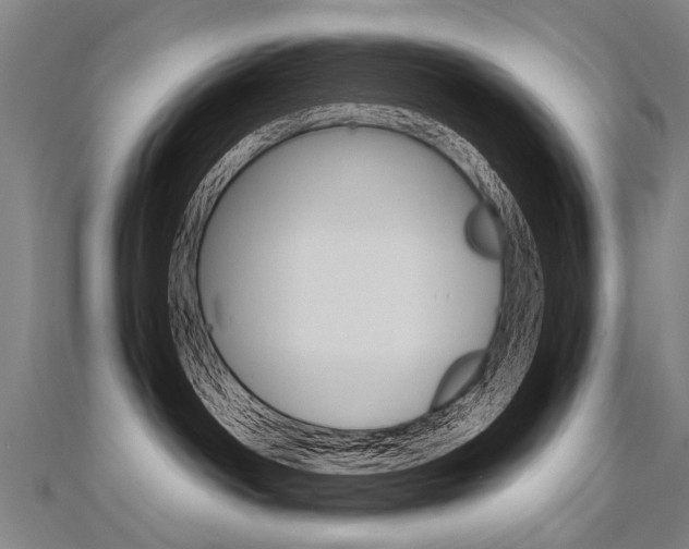 X0000110690142200906121103