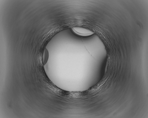 X0000110690143200906121103