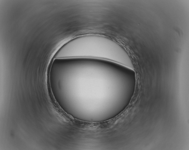 X0000110690148200906121103