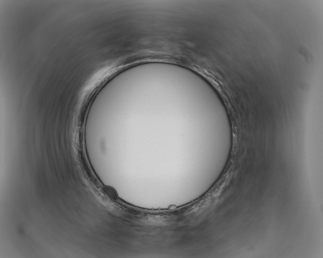 X0000110690149200906121103