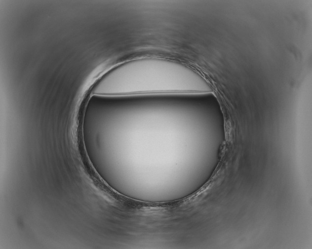 X0000110690150200906121103