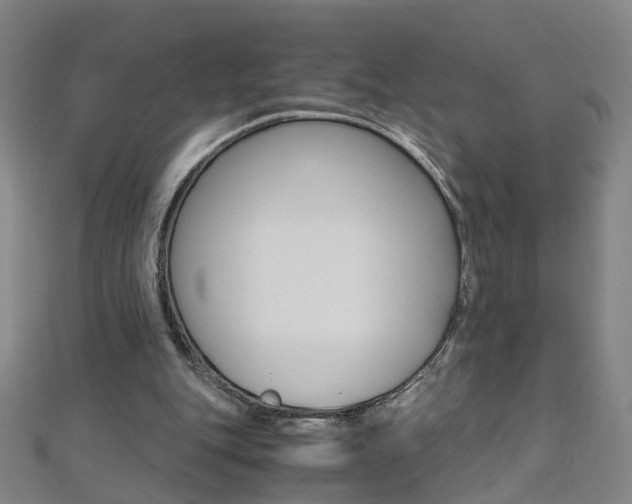 X0000110690151200906121103