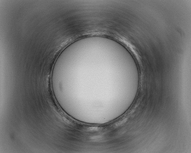 X0000110690153200906121103