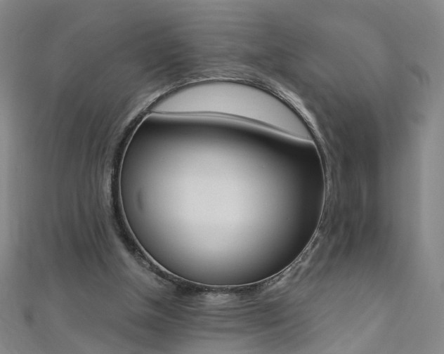 X0000110690154200906121103