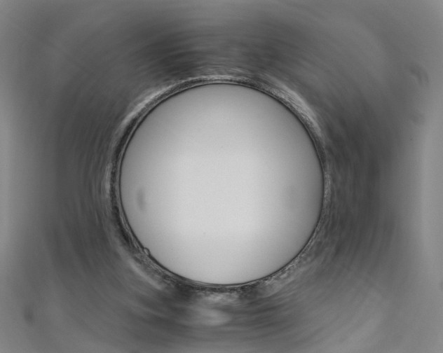 X0000110690155200906121103