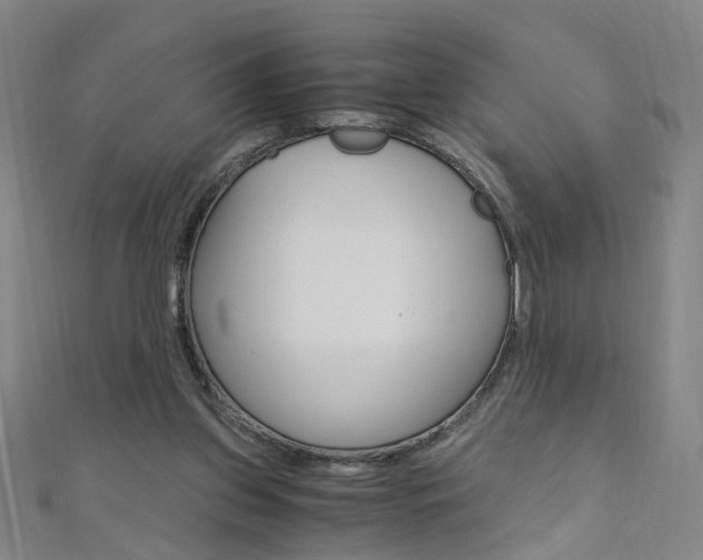 X0000110690157200906121103