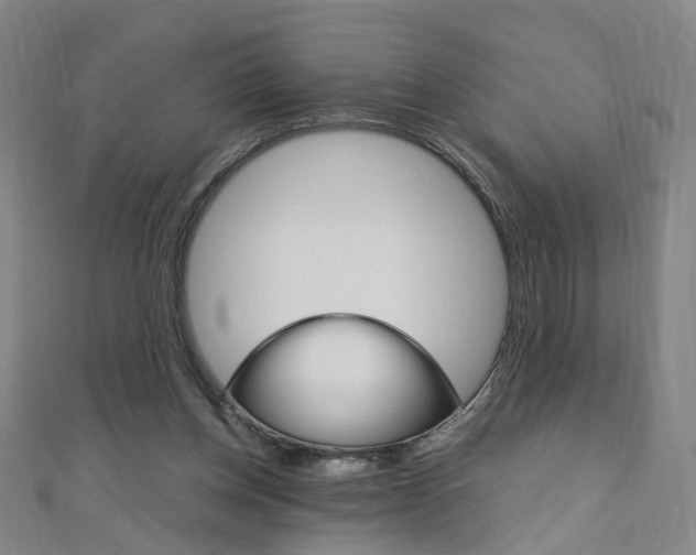 X0000110690158200906121103