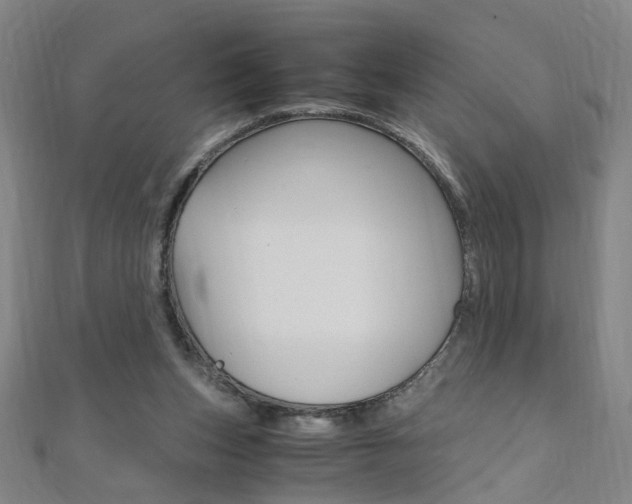 X0000110690159200906121103