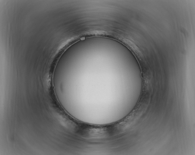 X0000110690160200906121103