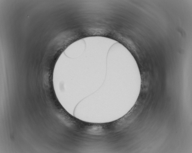 X0000110690162200906121103