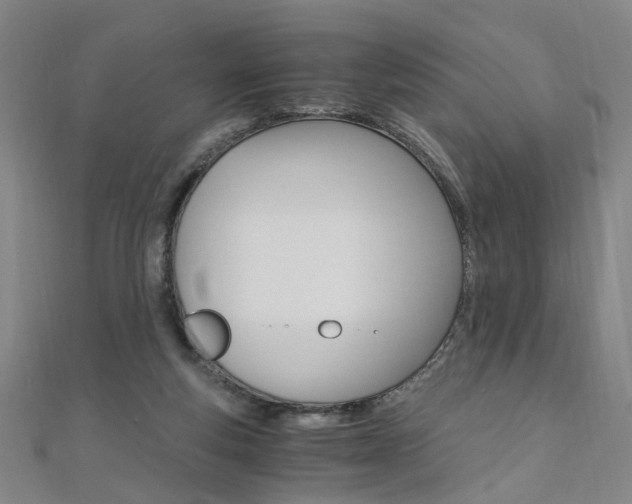 X0000110690163200906121103