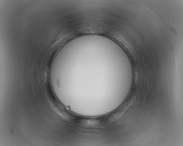 X0000110690165200906121103