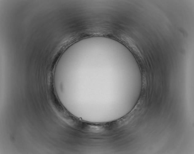 X0000110690167200906121103