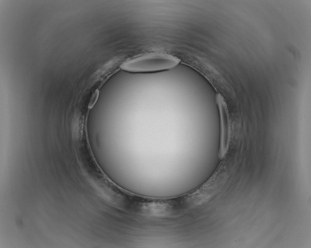 X0000110690168200906121103