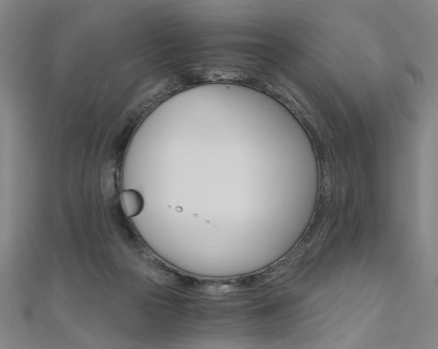 X0000110690169200906121103