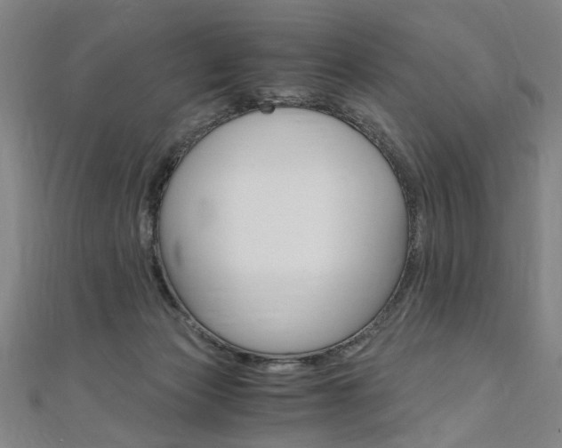 X0000110690173200906121103