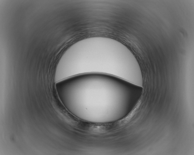 X0000110690174200906121103