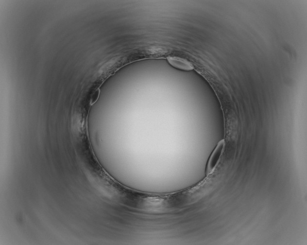 X0000110690176200906121103