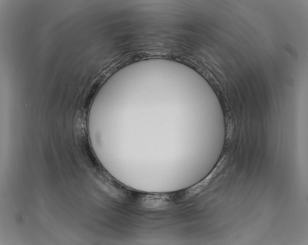 X0000110690179200906121103