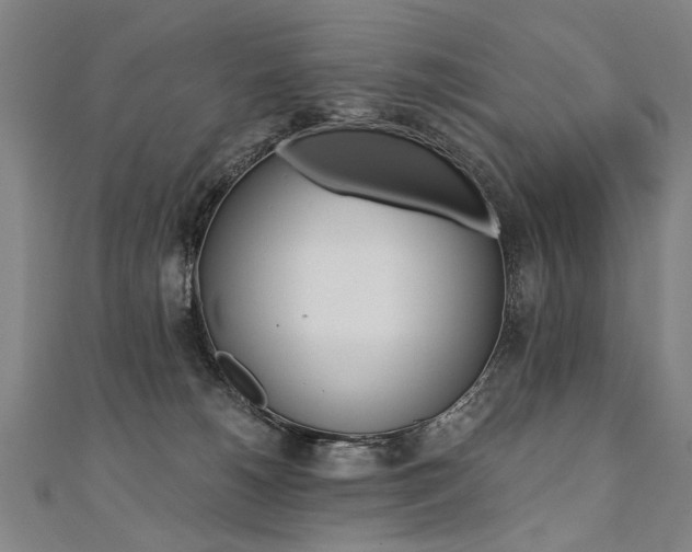 X0000110690180200906121103