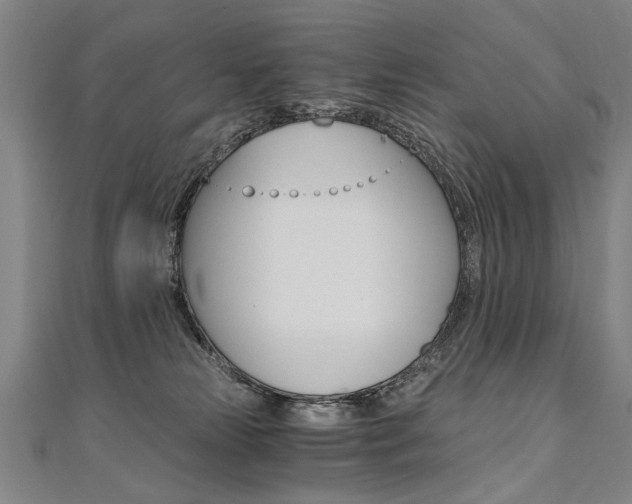 X0000110690181200906121103