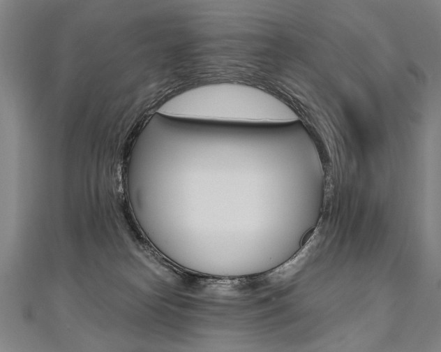 X0000110690182200906121103