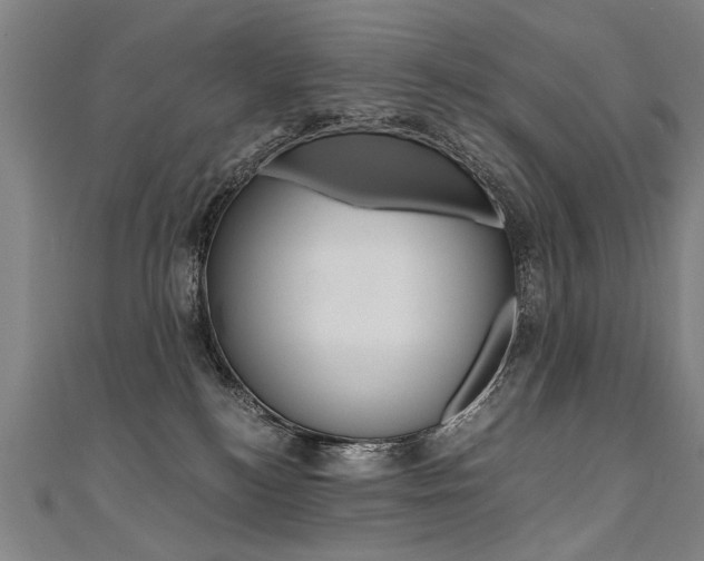 X0000110690184200906121103