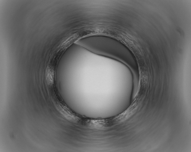 X0000110690188200906121103