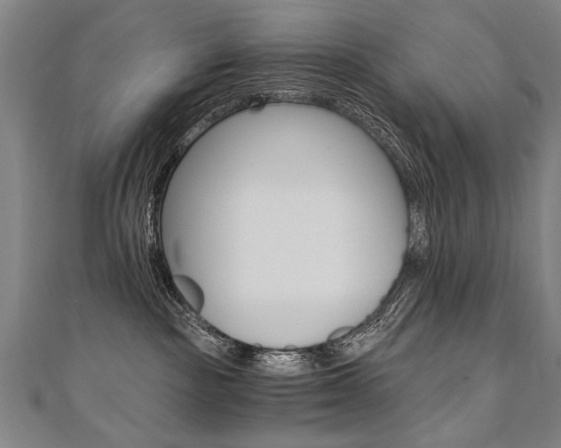 X0000110690189200906121103