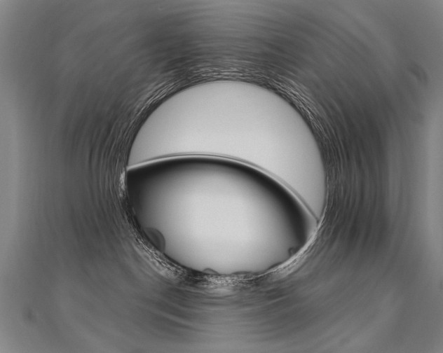 X0000110690190200906121103