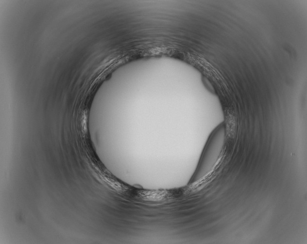 X0000110690191200906121103