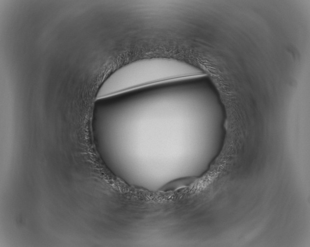 X0000110690192200906121103