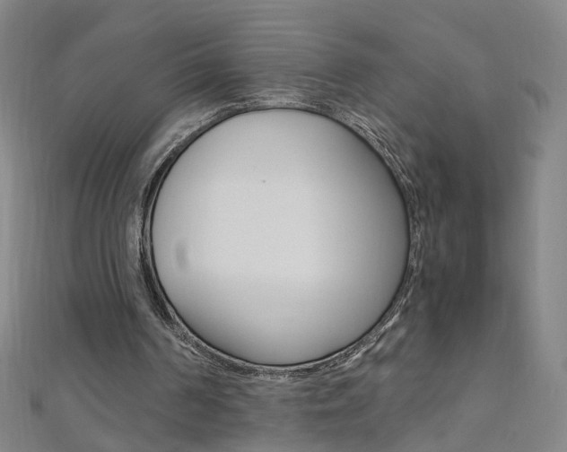 X0000110690194200906121103