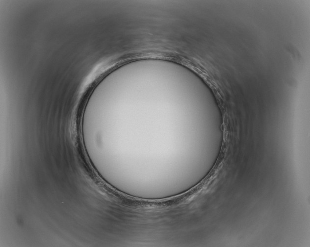 X0000110690198200906121103