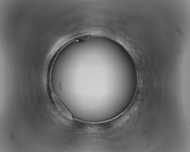 X0000110690199200906121103