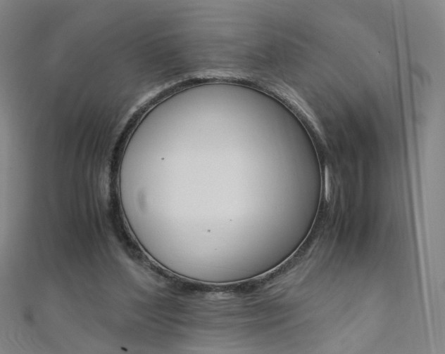 X0000110690204200906121103