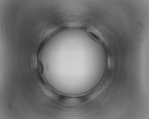 X0000110690205200906121103