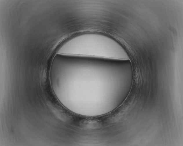 X0000110690208200906121103