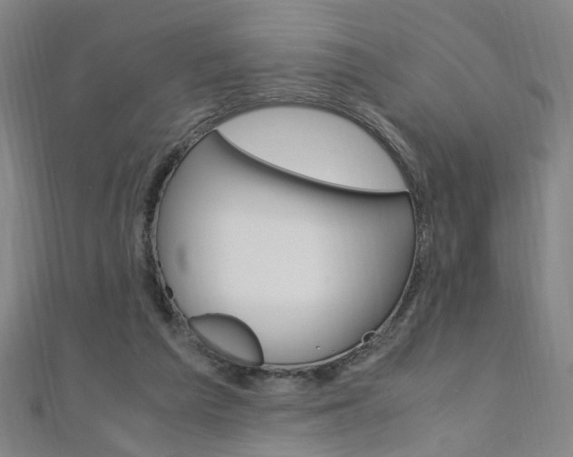 X0000110690209200906121103