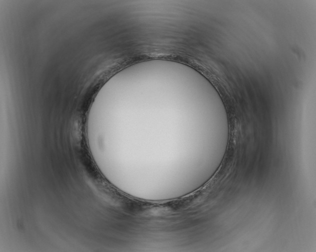 X0000110690210200906121103