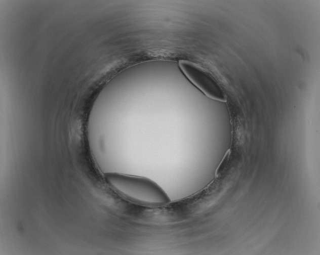 X0000110690211200906121103