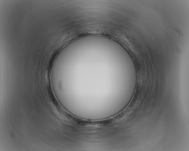 X0000110690213200906121103