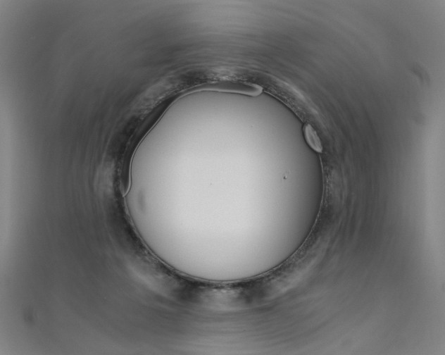 X0000110690217200906121102