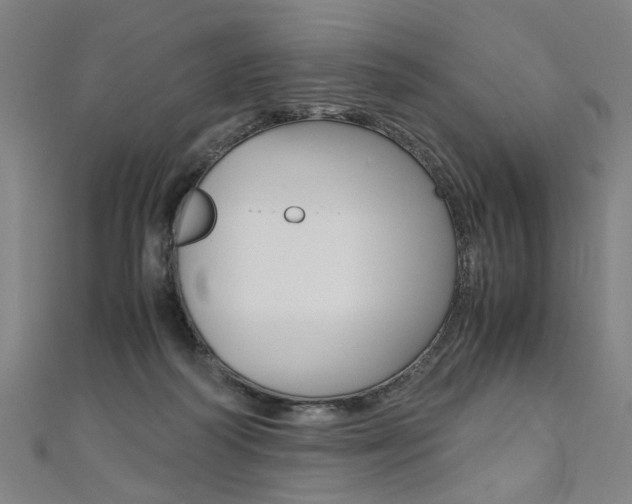 X0000110690218200906121102