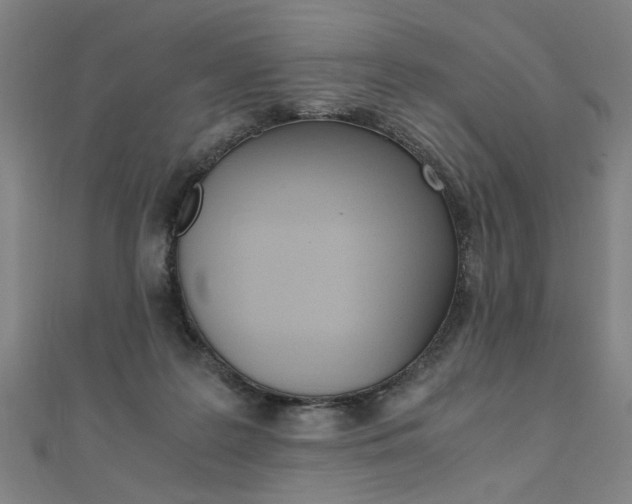 X0000110690219200906121102