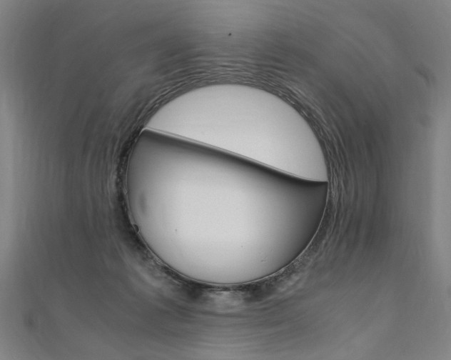 X0000110690221200906121102