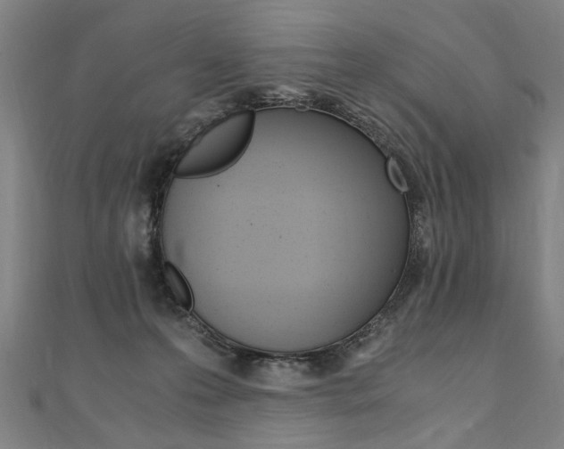 X0000110690223200906121102