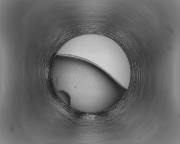 X0000110690227200906121102
